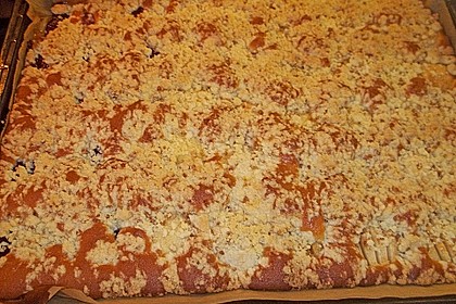 Pflaumenkuchen mit Streuseln 18