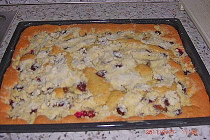 Pflaumenkuchen mit Streuseln 29