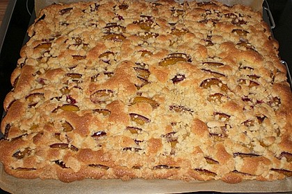 Pflaumenkuchen mit Streuseln 34