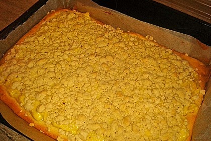 Streuselkuchen mit Pudding 3
