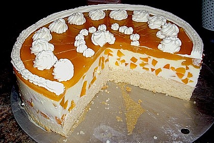 Aprikosen - Joghurt - Torte 2