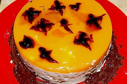 Aprikosen - Joghurt - Torte 6