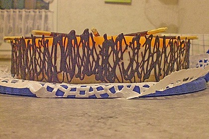 Aprikosen - Joghurt - Torte 7
