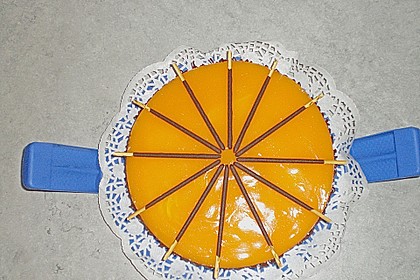 Aprikosen - Joghurt - Torte 8