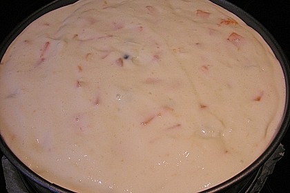Aprikosen - Joghurt - Torte 13