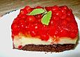 Johannisbeerkuchen mit Schmand - Pudding - Creme