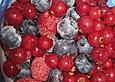 Beeren - Gelee mit Tonkabohnen - Sahne