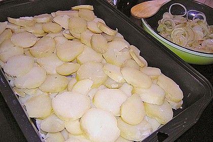 Falsches Raclette 9
