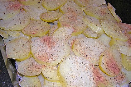 Falsches Raclette 7