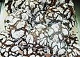Chocolate Crinkles oder Black and Whites