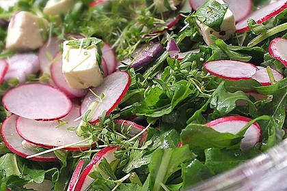 Rucola - Radieschensalat mit Feta 10