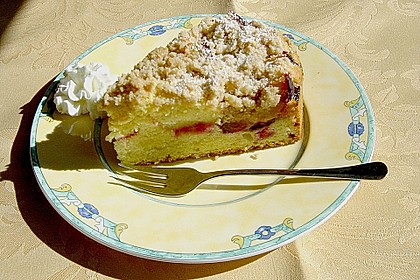 Zwetschkenkuchen mit Zimtstreusel 5