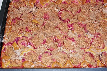 Zwetschkenkuchen mit Zimtstreusel 8