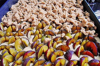 Zwetschkenkuchen mit Zimtstreusel 17