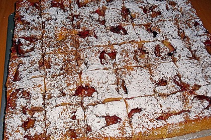 Zwetschkenkuchen mit Zimtstreusel 20