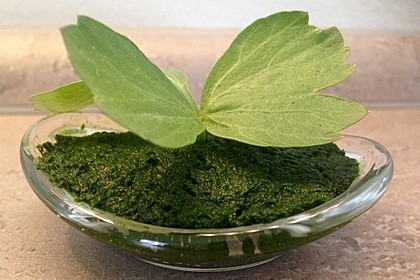 Liebstöckl (Maggikraut) - Paste