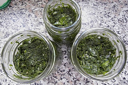 Liebstöckl (Maggikraut) - Paste 10