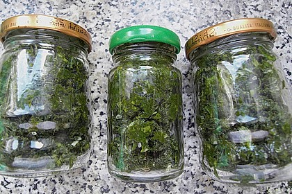 Liebstöckl (Maggikraut) - Paste 14