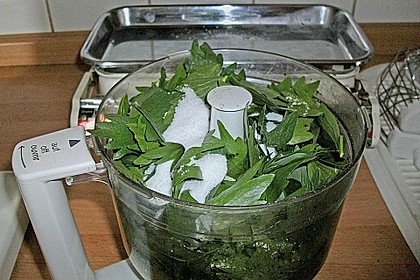 Liebstöckl (Maggikraut) - Paste 18