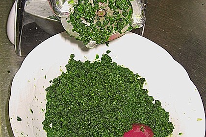 Liebstöckl (Maggikraut) - Paste 20
