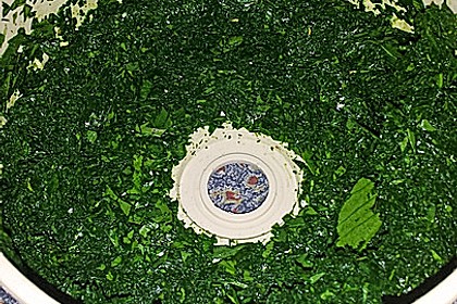 Liebstöckl (Maggikraut) - Paste 13