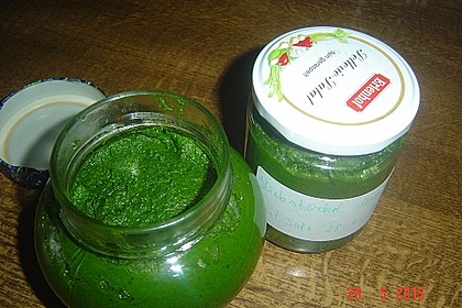 Liebstöckl (Maggikraut) - Paste 22