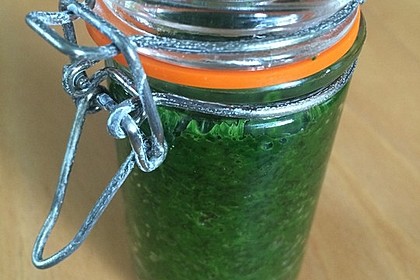 Liebstöckl (Maggikraut) - Paste 8