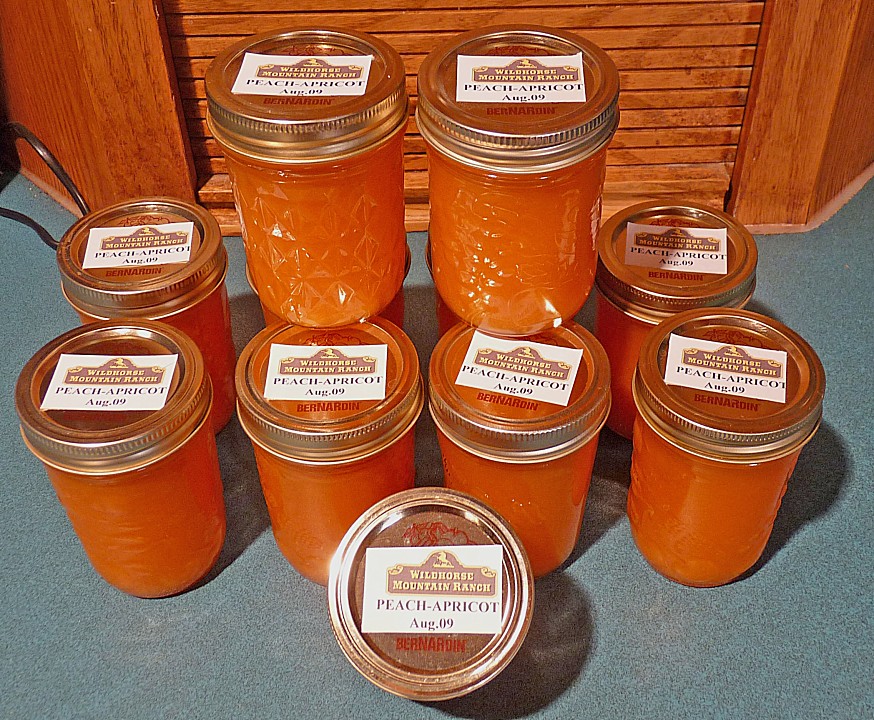 Marmelade Aus Aprikosen Und Weißen Johannisbeeren — Rezepte Suchen