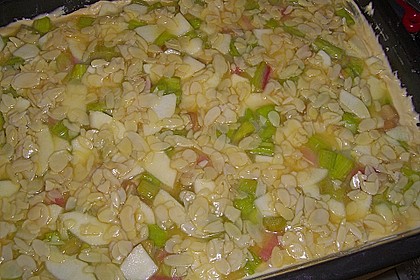Schneller Blechkuchen mit Obst 20