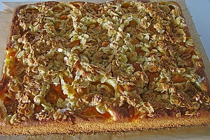 Schneller Blechkuchen mit Obst 3