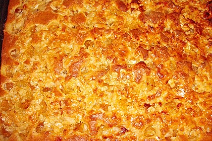 Schneller Blechkuchen mit Obst 18