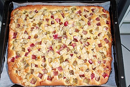 Schneller Blechkuchen mit Obst 16