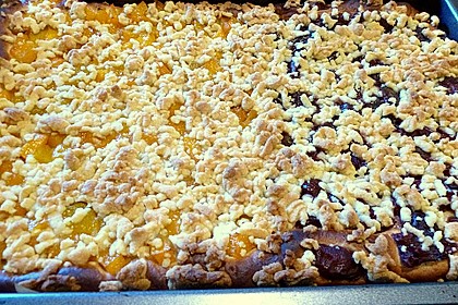 Schneller Blechkuchen mit Obst 19