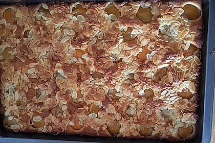 Schneller Blechkuchen mit Obst 10