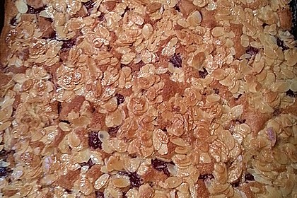 Schneller Blechkuchen mit Obst 17