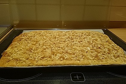 Schneller Blechkuchen mit Obst 24