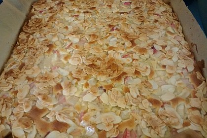 Schneller Blechkuchen mit Obst 23