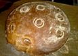 Bauernbrot aus Dinkelmehl
