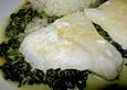 Ged&auml;mpfter Seewolf mit Orangen - Zitronen - Sauce und Minzspinat