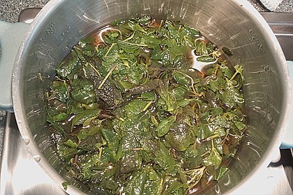 Zitronenmelissesirup 10
