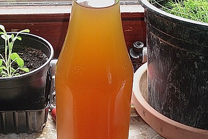 Zitronenmelissesirup 5