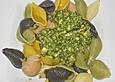 Pesto a la miss - emily - erdbeer