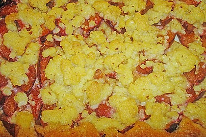 Zwetschgenkuchen 4 - schichtig 9