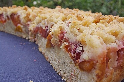 Zwetschgenkuchen 4 - schichtig 14