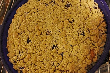 Zwetschgenkuchen 4 - schichtig 17