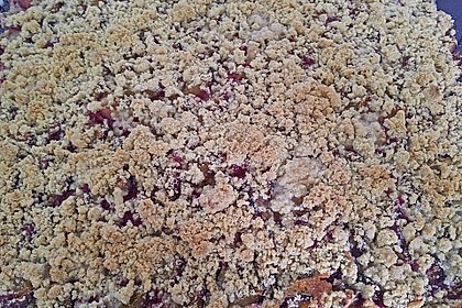 Zwetschgenkuchen 4 - schichtig 19