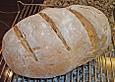 Sauerkrautbrot