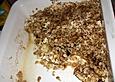 Oatmeal Apple Crumble