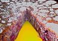 Feiner Kirsch - Sandkuchen