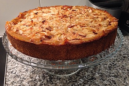 Fruchtiger Apfelkuchen 5